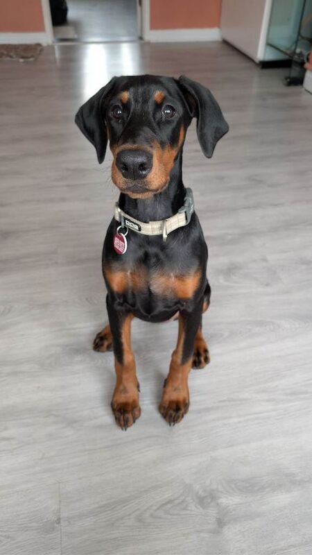 Lilith, The perfect girl